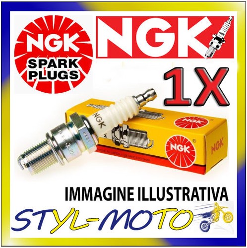 Candela ngk dcpr8e - ngk, bombardier